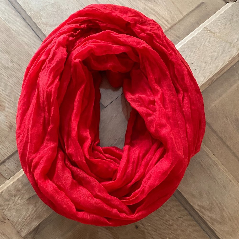 LIKE NEW Sheer Infinity Scarf